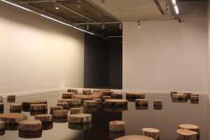 Matti Braun, R.T./S.R./V.S.