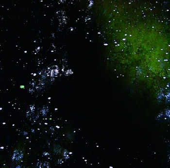 wpid-1233172851image_web